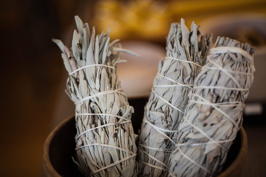 White Sage