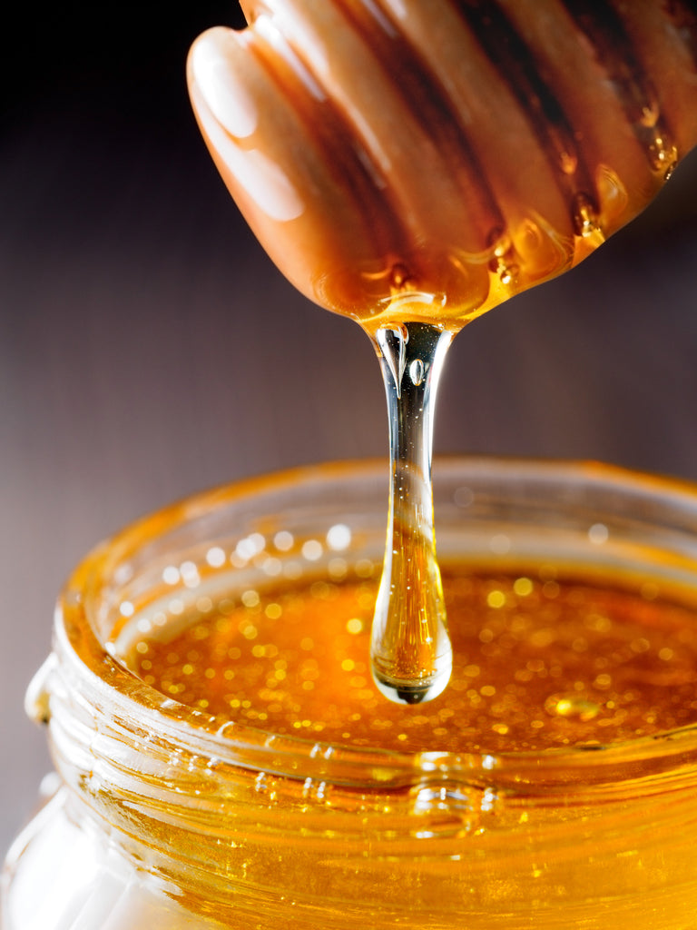 honey bee sweet smooth summer sunny days