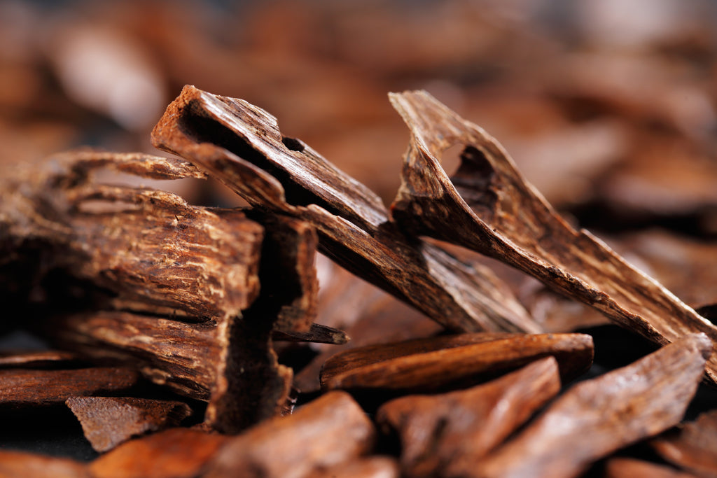 oud argarwood perfume base resin
