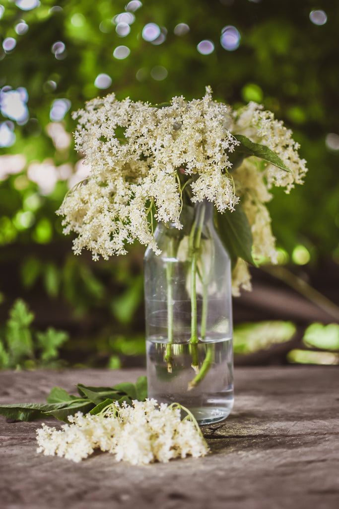 Elderflower