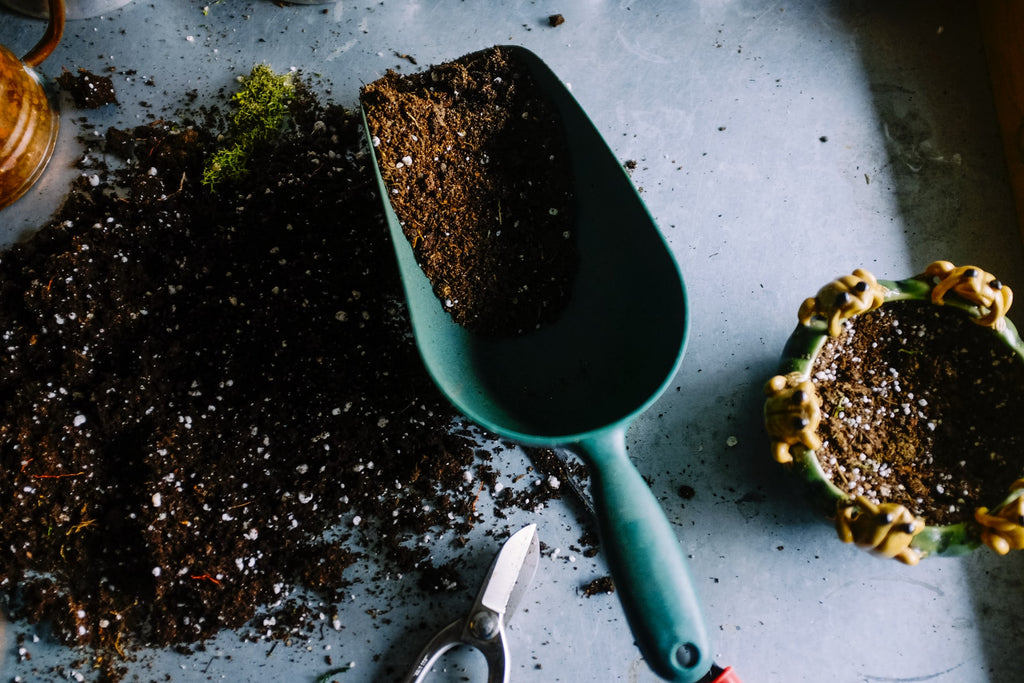 Mother Earth - earthy dirt, mossy oak