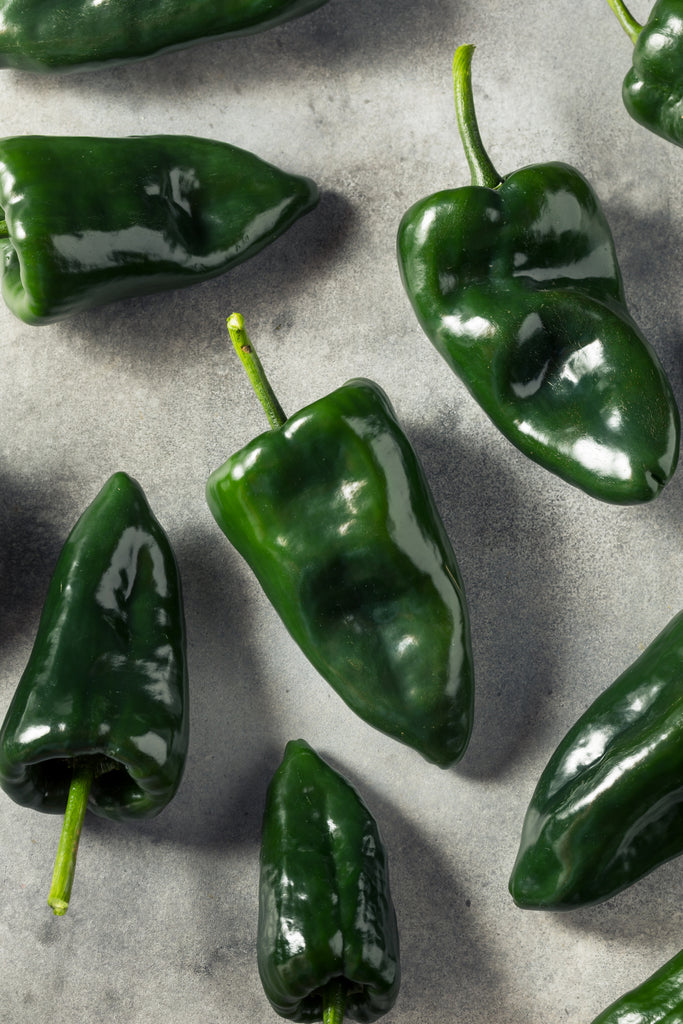 Poblano Pepper