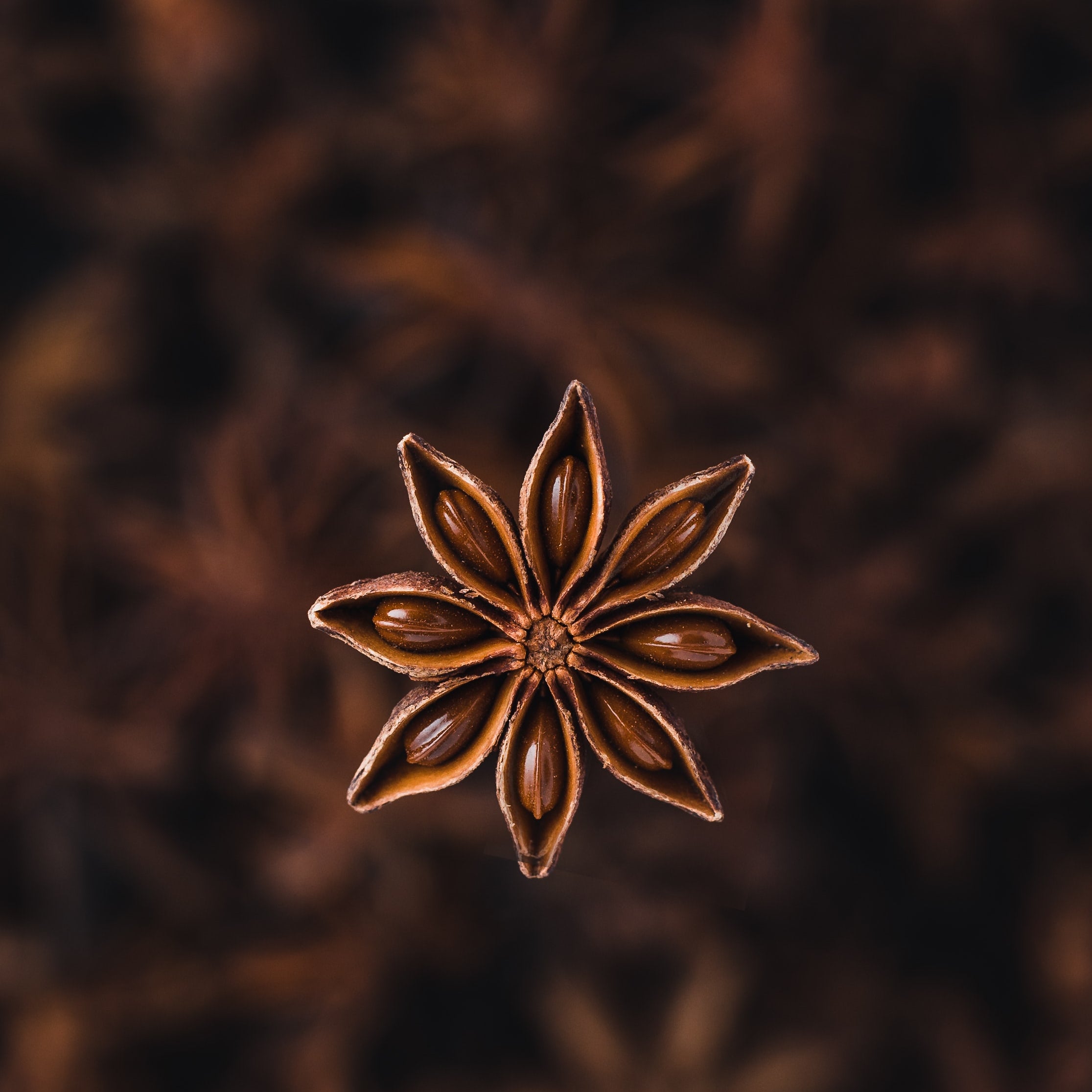 star anise scent, licorice, musk