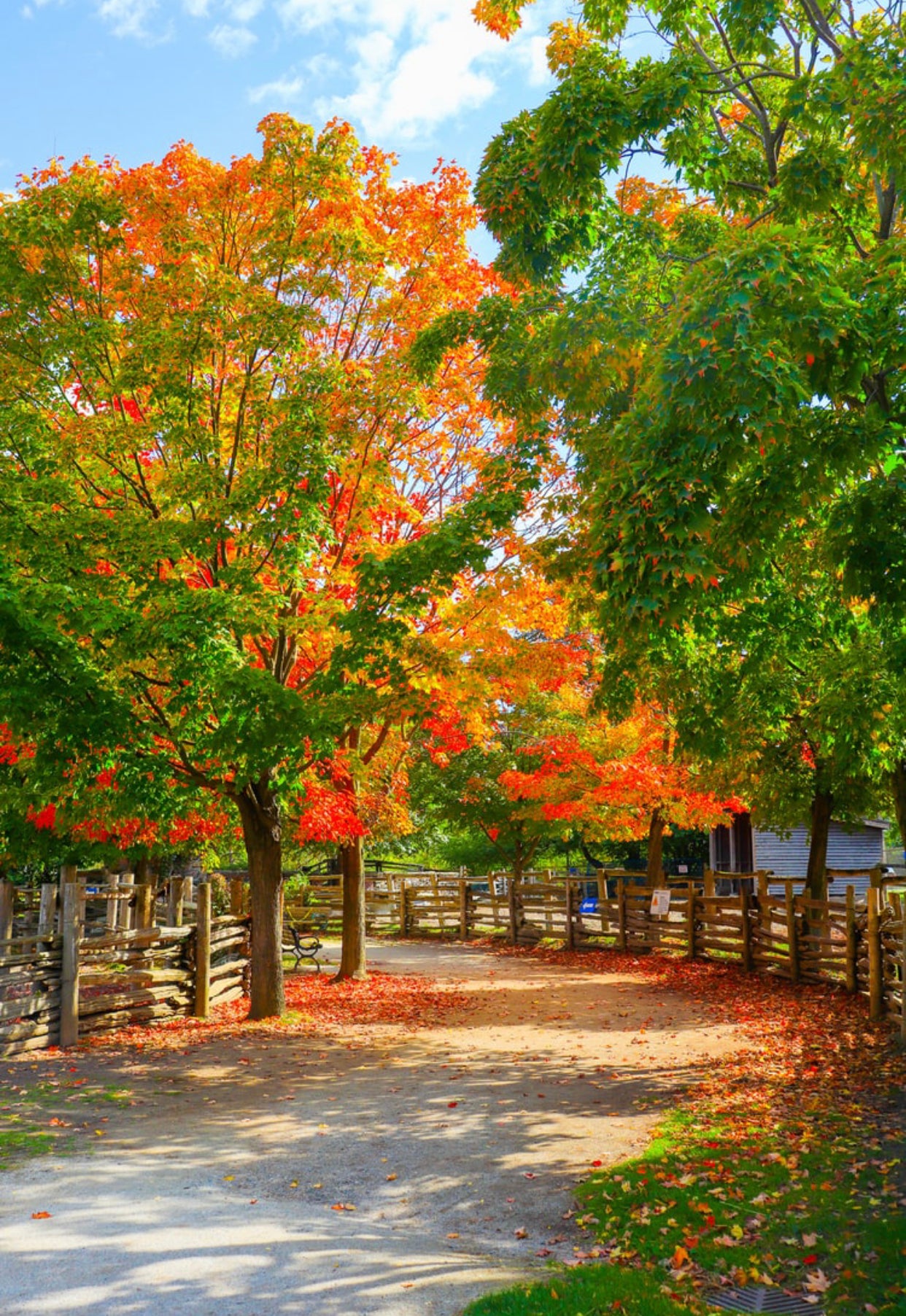 leaf fragrance seasons change 