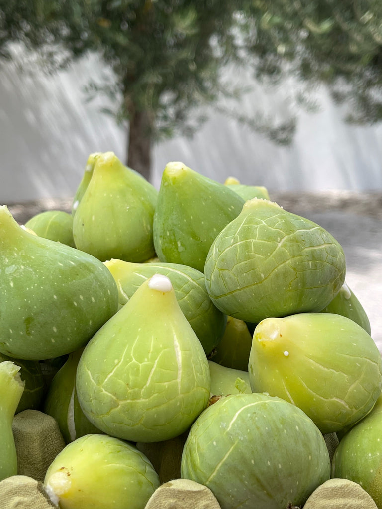 green fig summer fruit orchard fresh sweet tangy