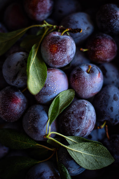 plum dark sweet tangy summer fruit orchard