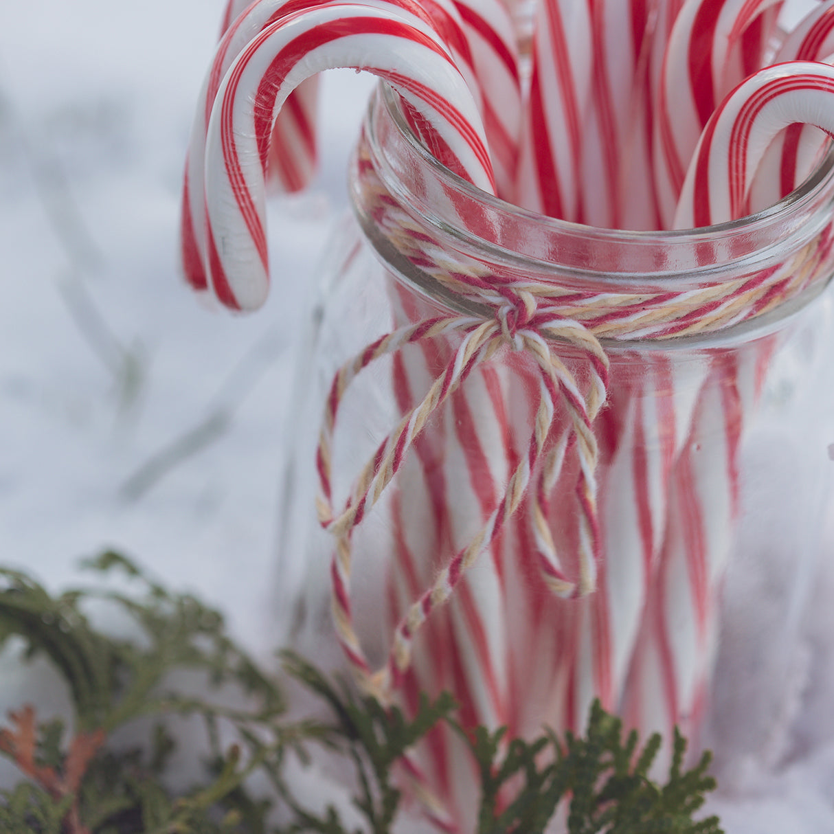 Candy Cane strong peppermint powdered vanilla