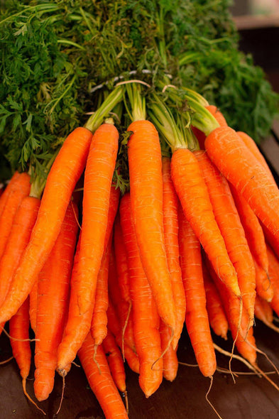 carrot - fresh and earthy spring garden