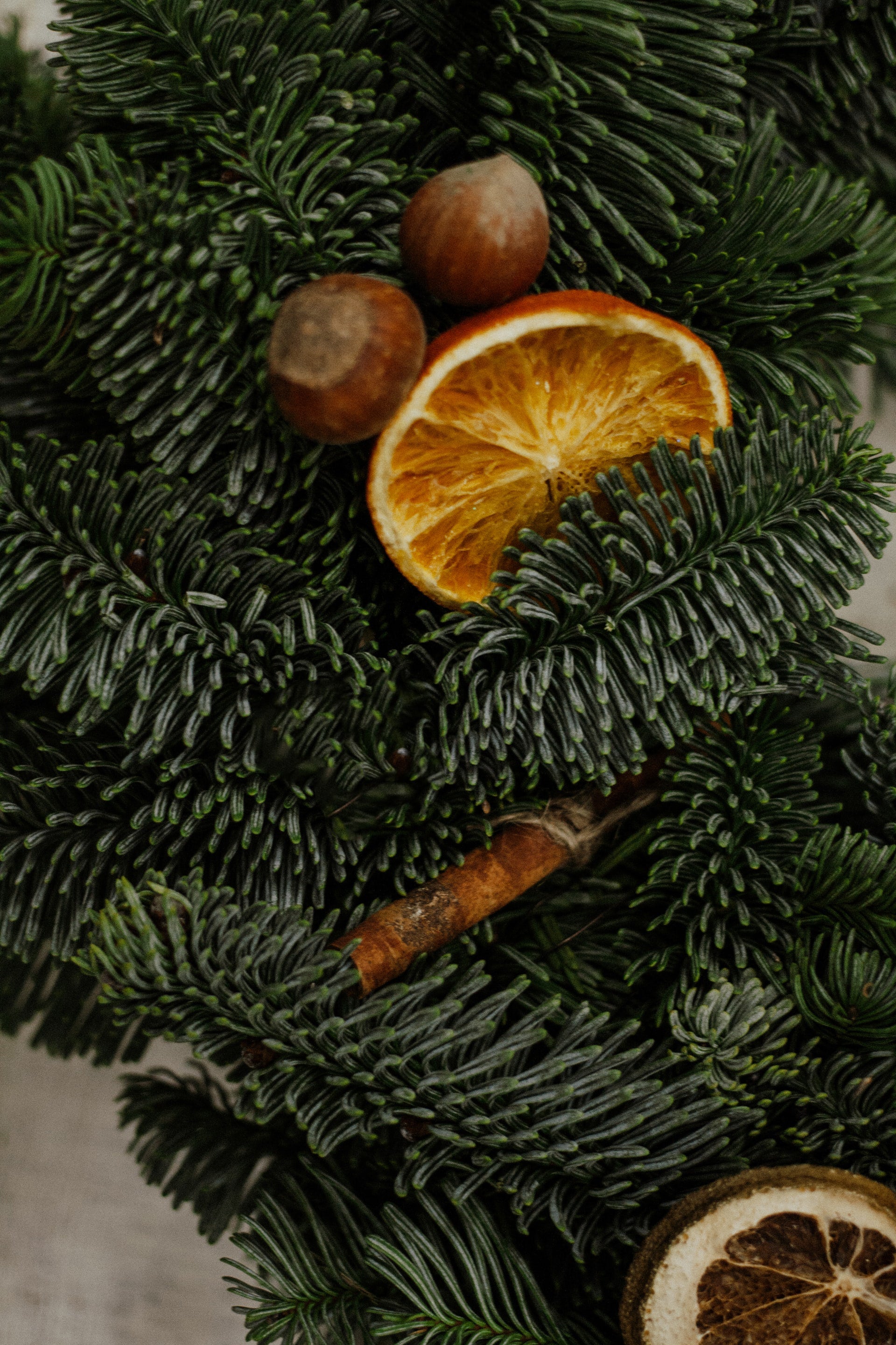 Grapefruit Pine - citrus grapefruit evergreen pine