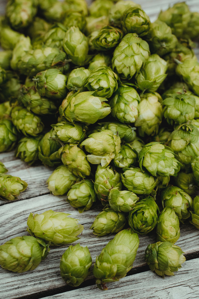 Hops - resiny, piney, spicy