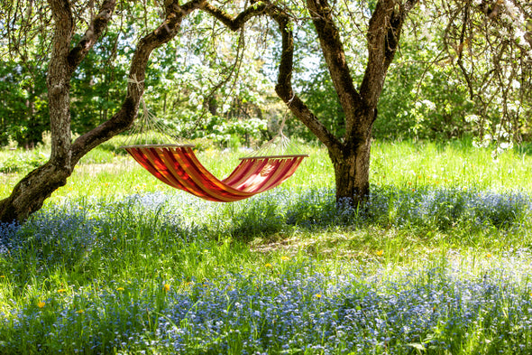 hammock time, summer breezes