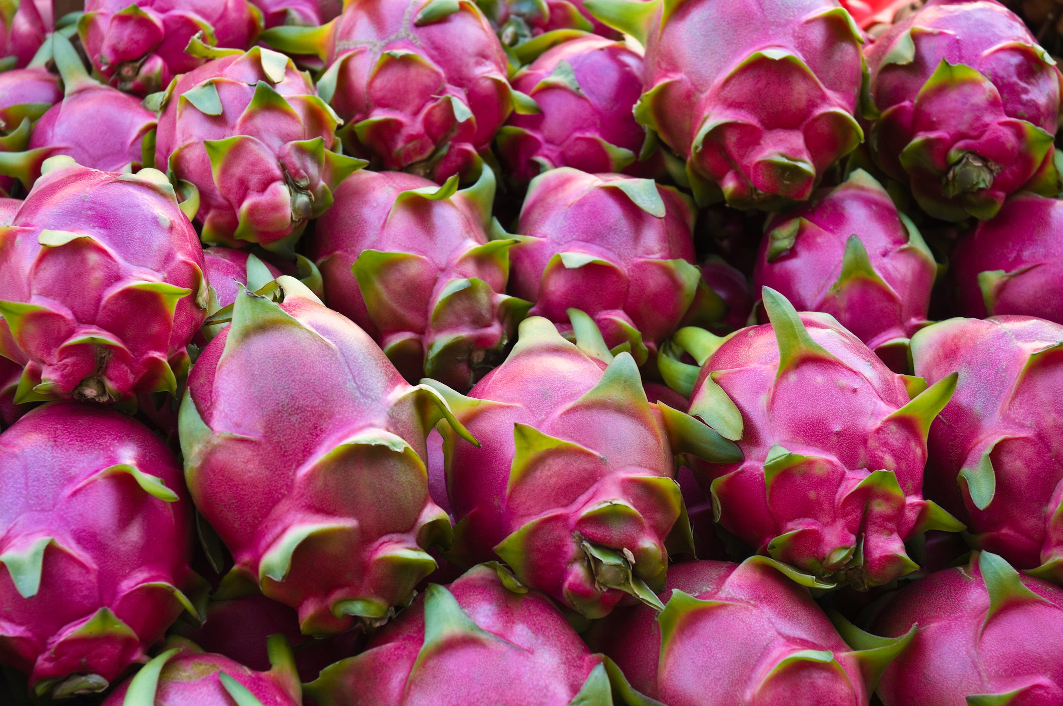 Dragonfruit