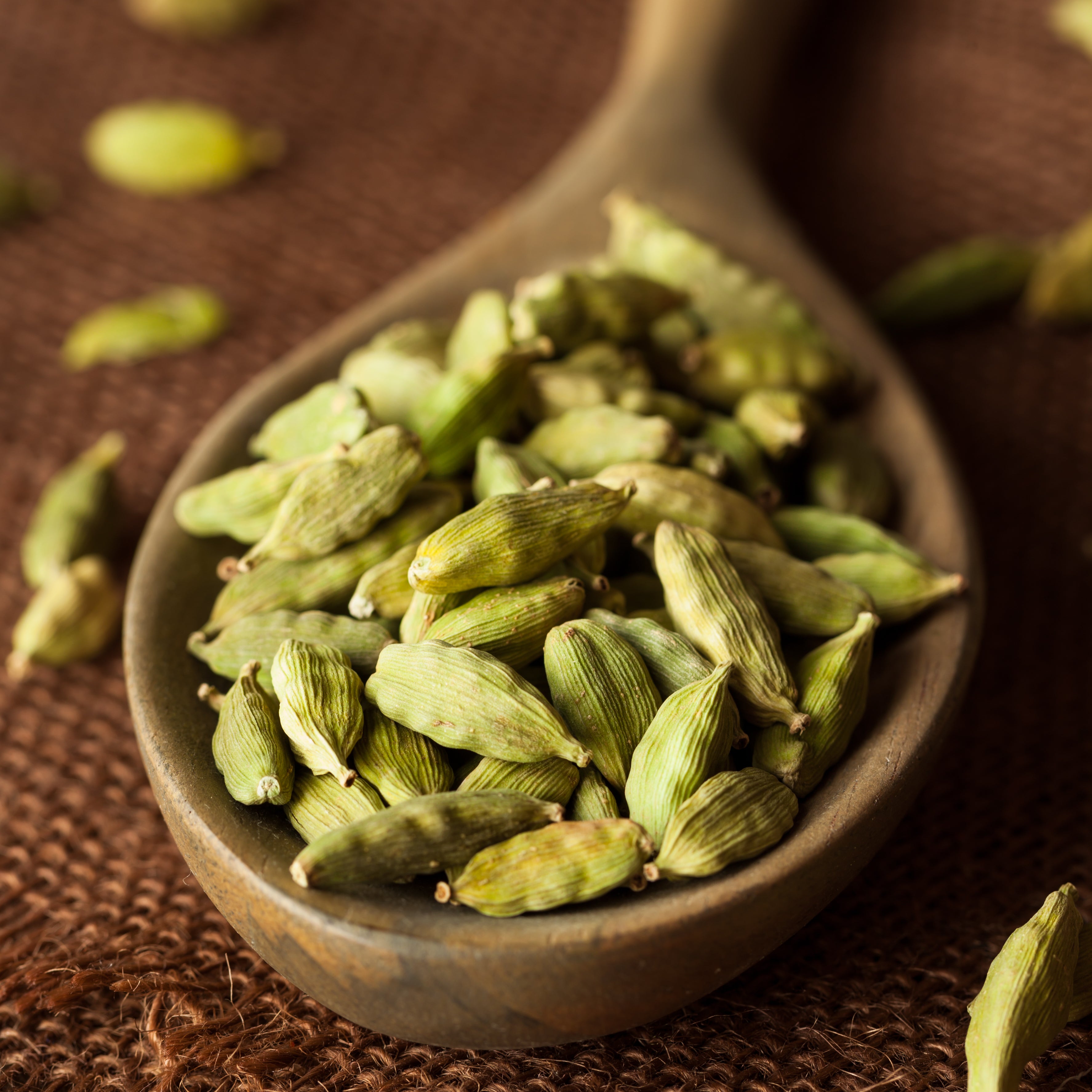 cardamom herbal spicy green