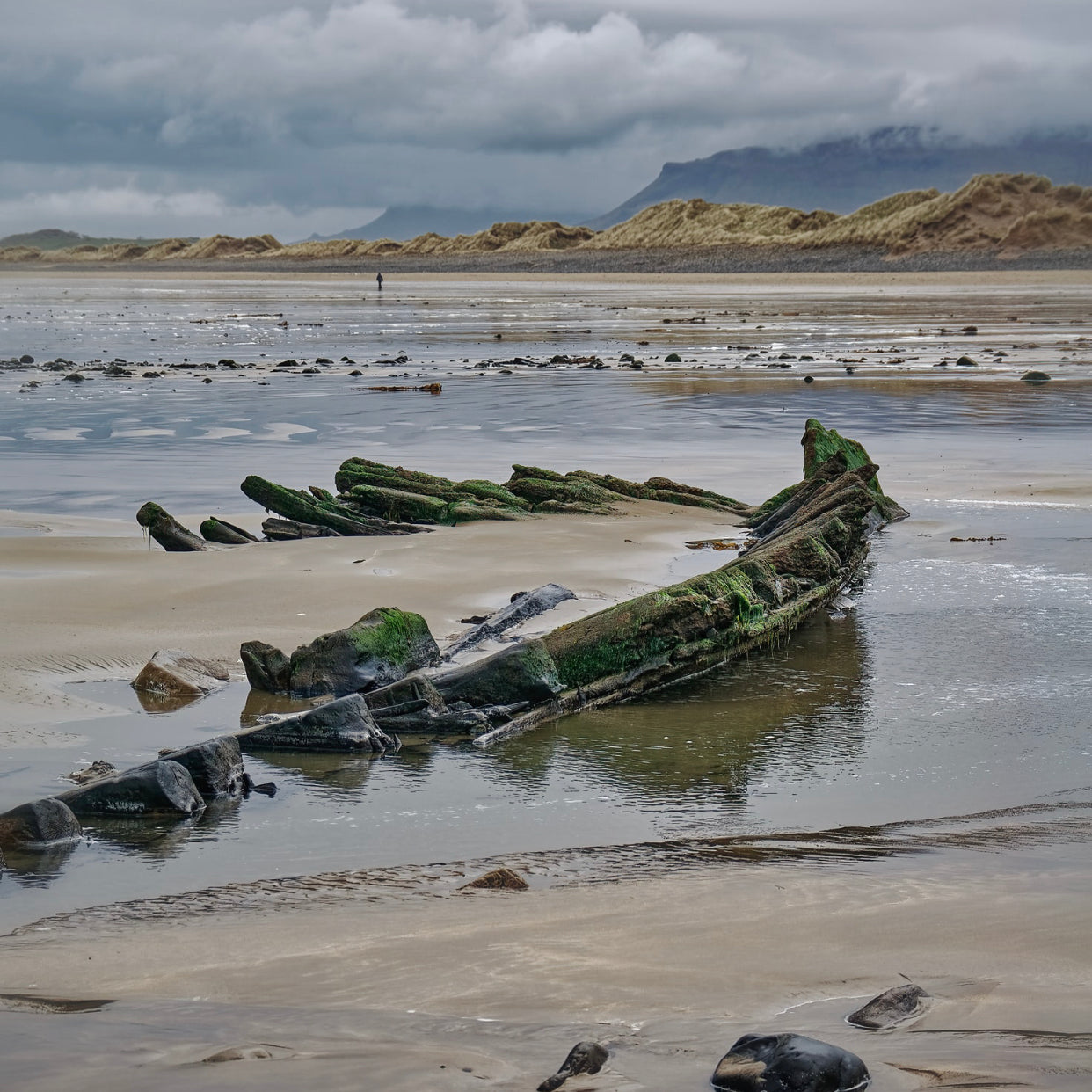 low tide scent blend great barrier reef dank shoreline seaside