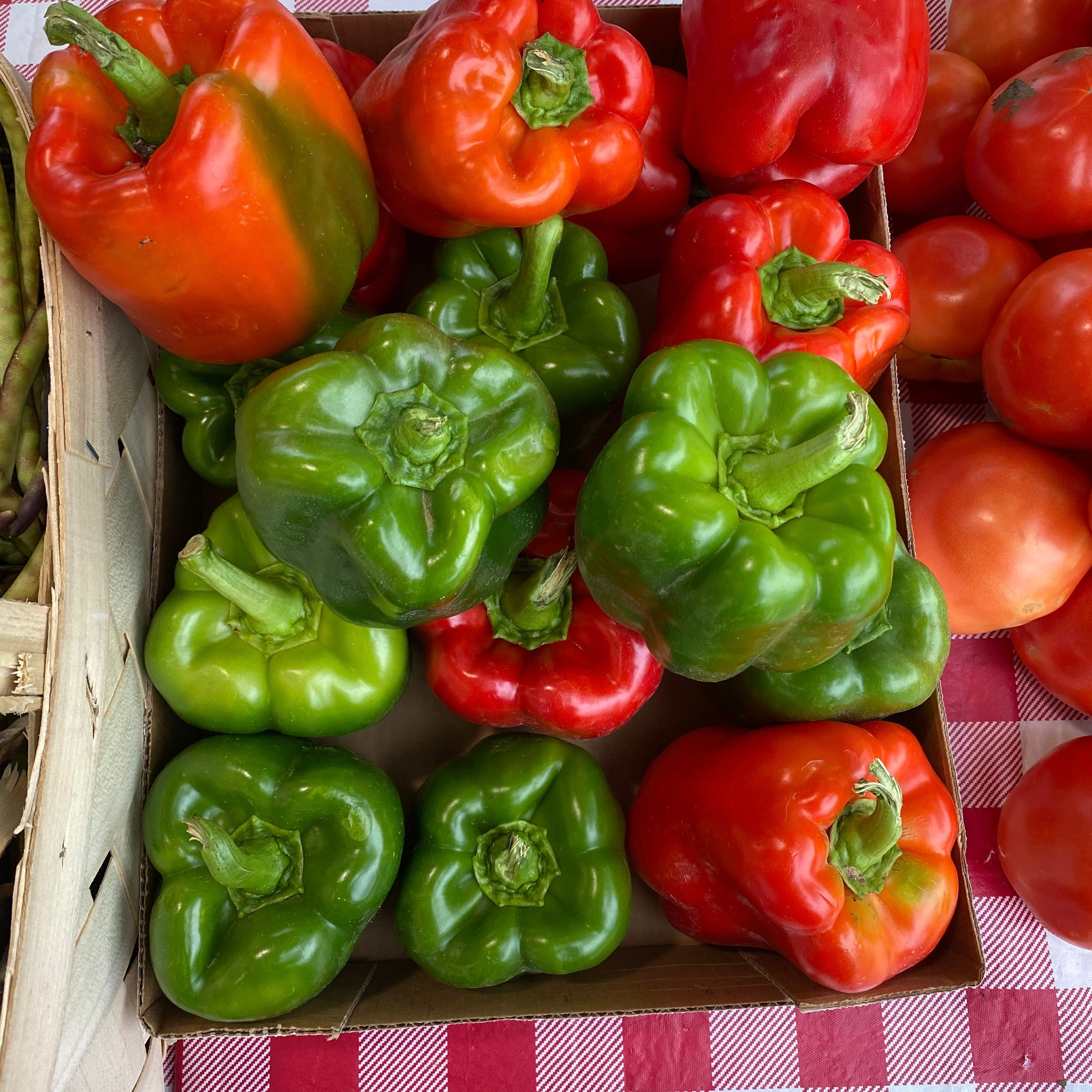 bell pepper sweet fresh garden veggie fragrance