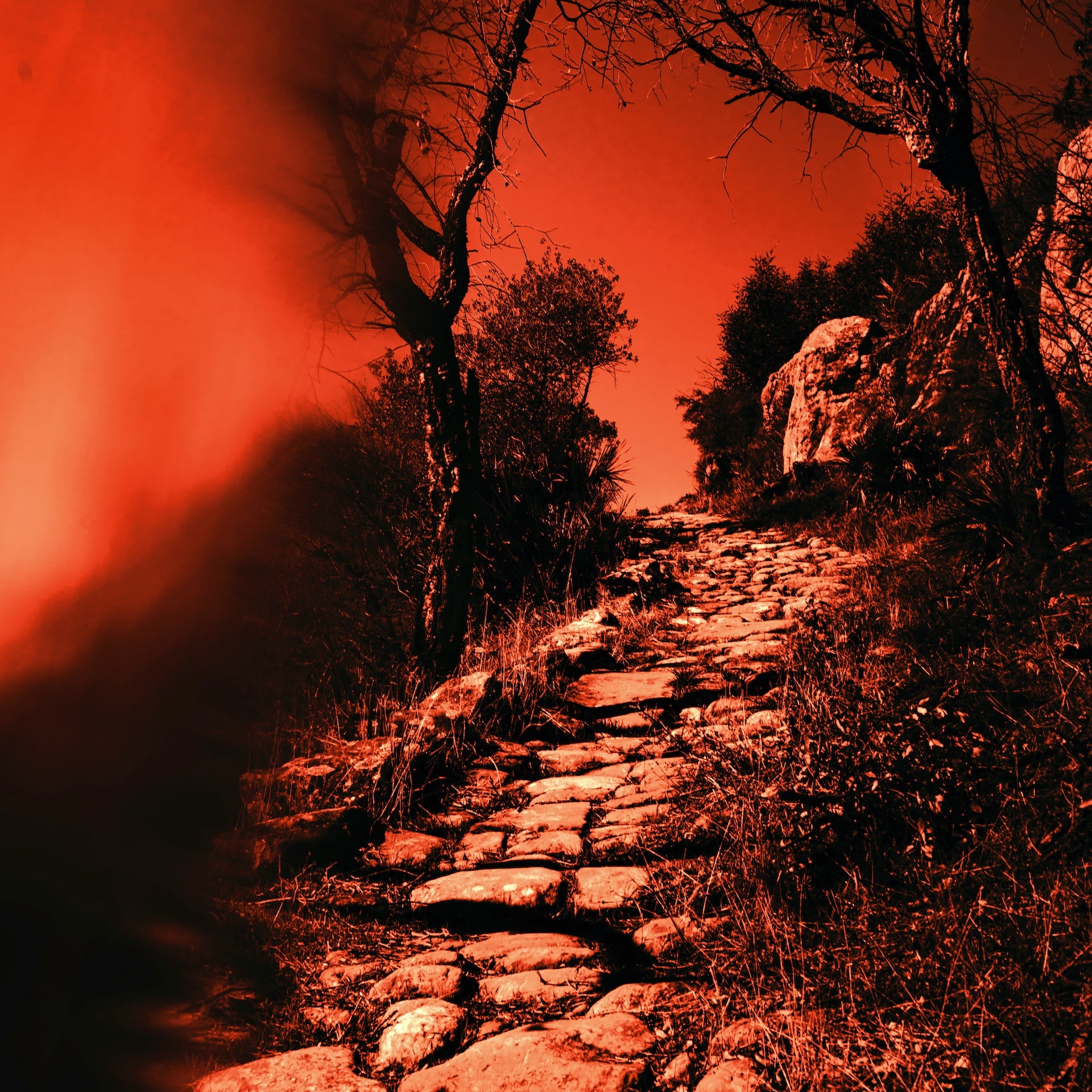 h.e. double hockey sticks smoky sultry edgy fragrance