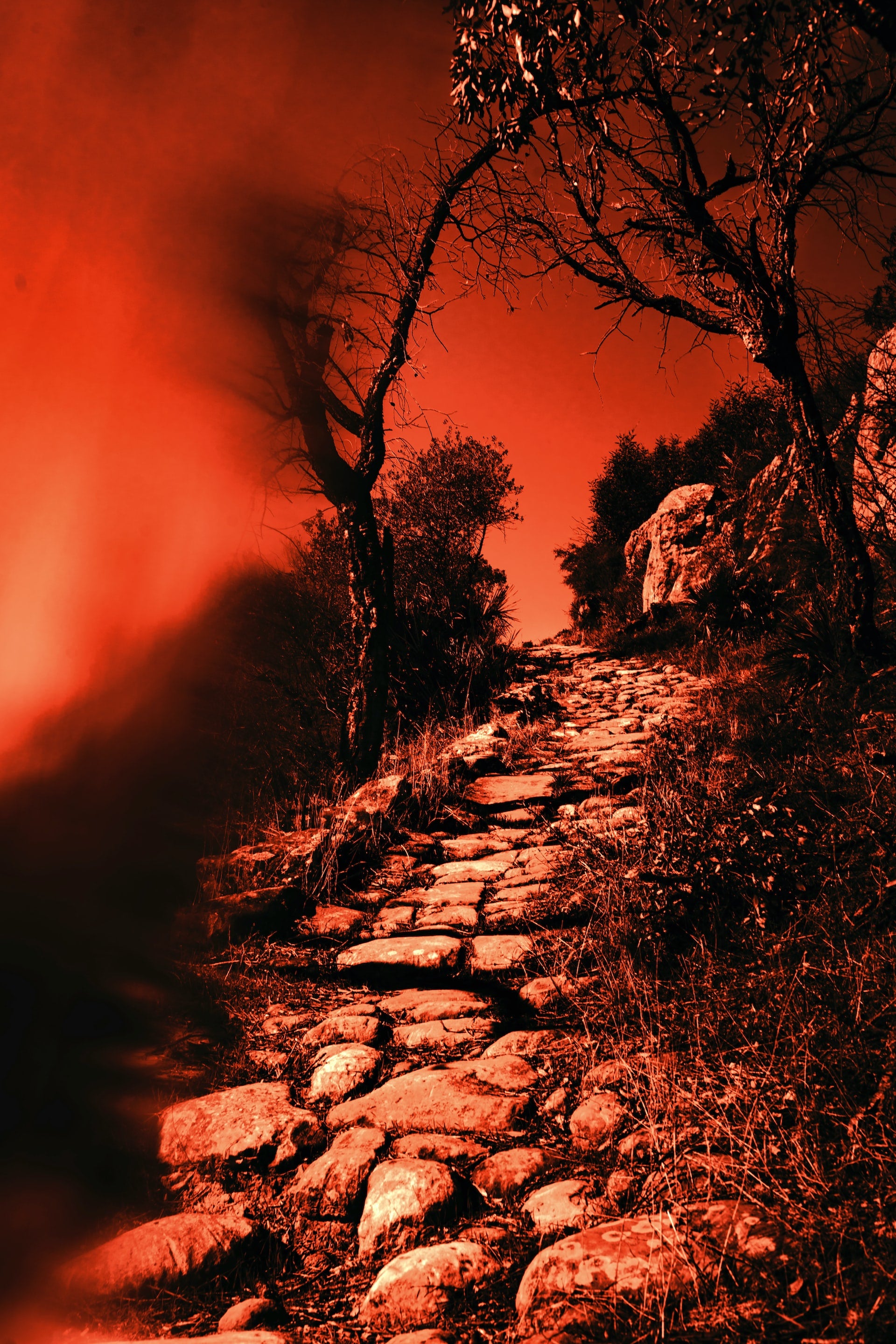 h.e. double hockey sticks smoky sultry edgy fragrance